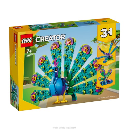 31157.jpg