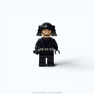 Figurka LEGO sw0769 Death Star Trooper (Imperial Navy Trooper) [Star Wars : Star Wars Episode 4/5/6] | minifigurka ludzik